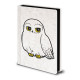 Carnet de Notes Harry Potter Hedwige Premium Fourrure