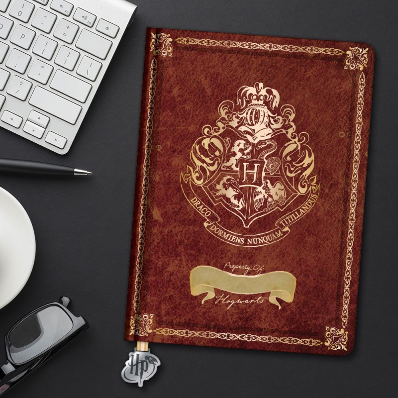 Carnet de Notes Flex Hedwige Harry Potter sur Kas Design