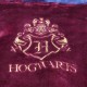 Peignoir Enfant Harry Potter Poudlard Choixpeau - Lot de 4