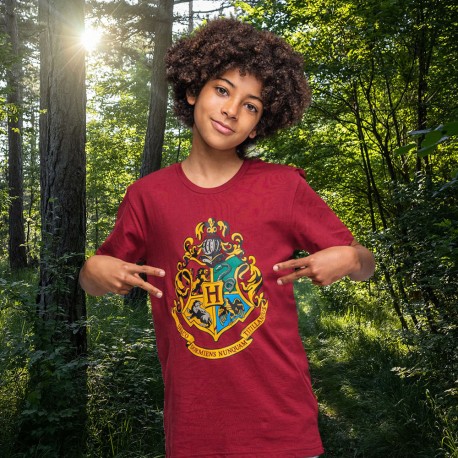 Pack de 6 Pyjamas Harry Potter Poudlard Enfants