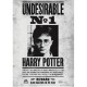 Affiche Harry Potter Avis de Recherche