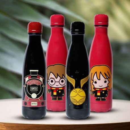 Bouteille Thermos Harry Potter 500 ml