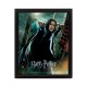 Cadre Harry Potter / Severus Rogue Les Reliques de la Mort Effet Animé 3D