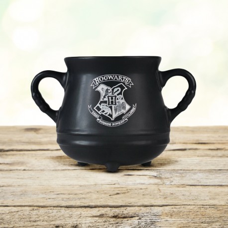 Tasse Chaudron Poudlard Harry Potter Double Anse