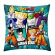 Coussin Personnages Dragon Ball Z