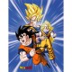 Plaid Dragon Ball Z Personnages