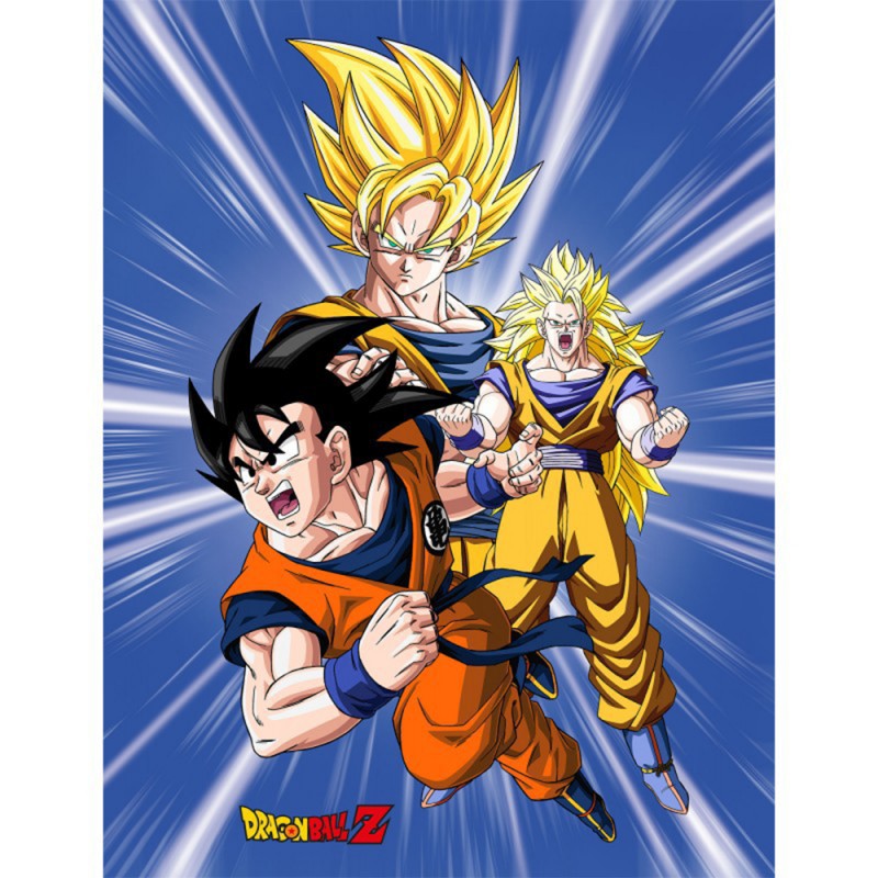 Plaid Dragon Ball Z Personnages sur Kas Design