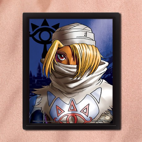 Cadre The Legend of Zelda Effet Animé 3D - Zelda & Sheik