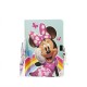 Set Minnie Disney - Journal Intime et Stylo