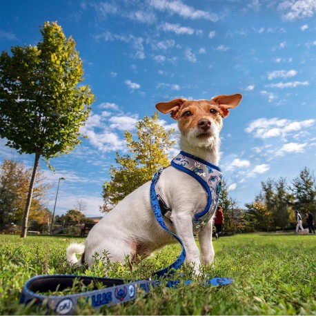 Harnais pour Chien Stitch Disney