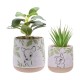 Lot de 2 Plantes en Pot Disney Bambi & Panpan avec Déco Galets